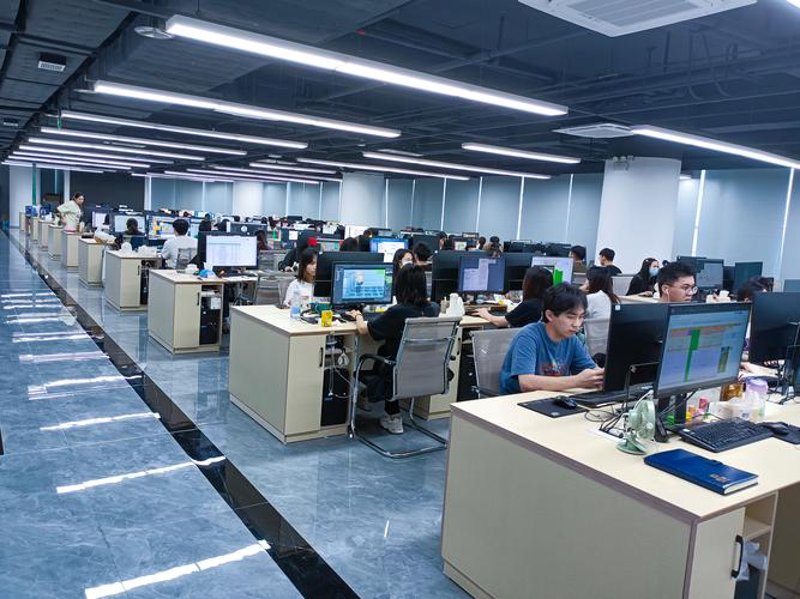 软件定制开发：企业成长的新引擎